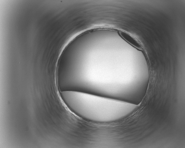 X0000080791295200612151048