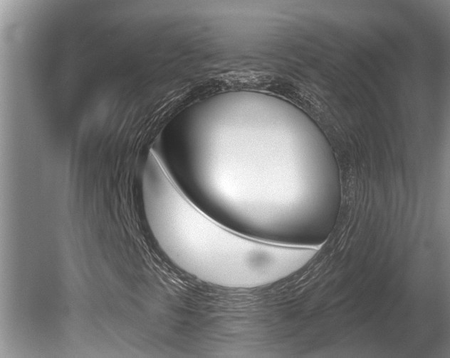 X0000080791297200612151047