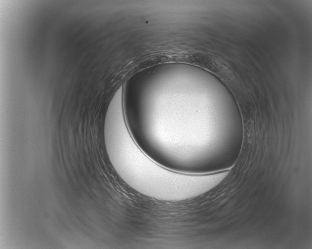X0000080791298200612151047