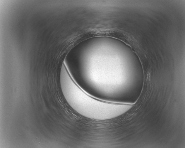 X0000080791300200612151047