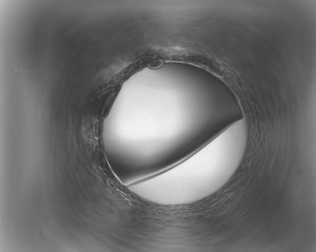 X0000080791301200612151047