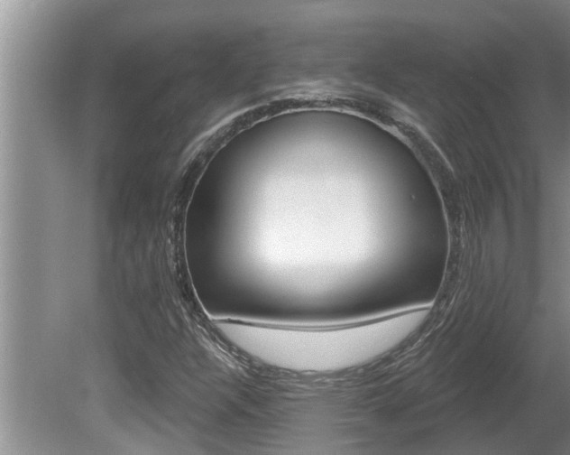 X0000080791304200612151047