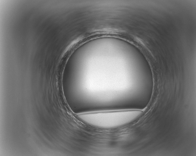 X0000080791307200612151047