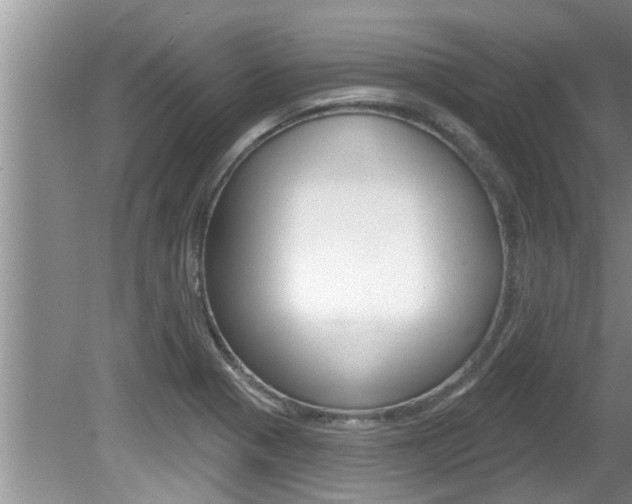 X0000080791321200612151047