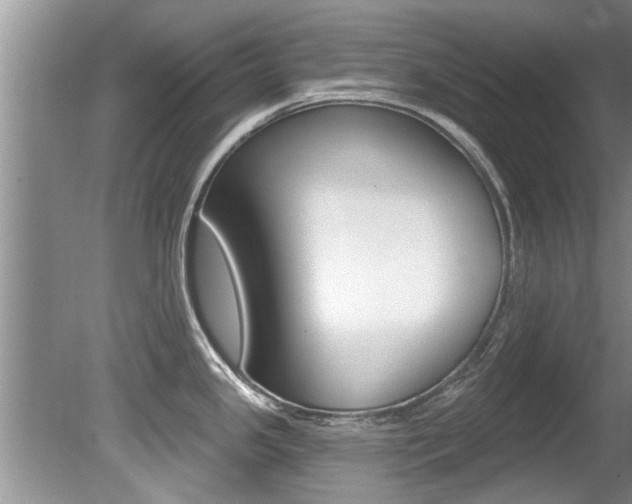 X0000080791341200612151048