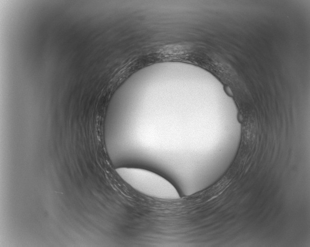 X0000080791346200612151047