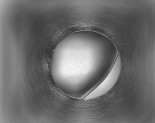 X0000080791348200612151047