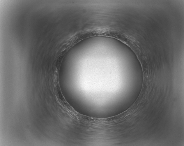 X0000080791349200612151047