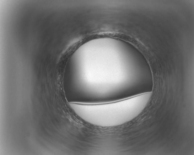 X0000080791351200612151047