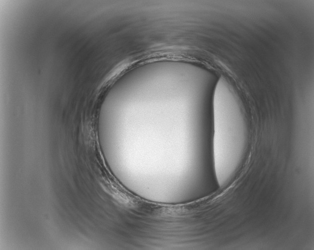 X0000080791354200612151047