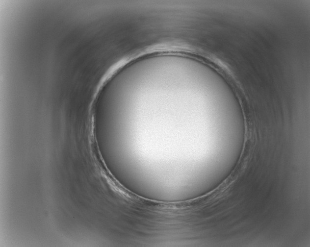 X0000080791366200612151047