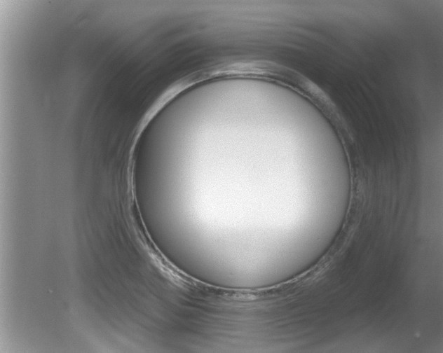 X0000080791370200612151047