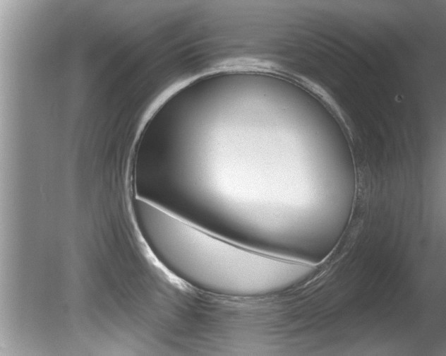 X0000080791387200612151046
