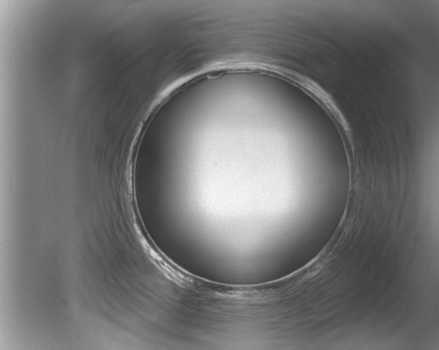 X0000080791388200612151046