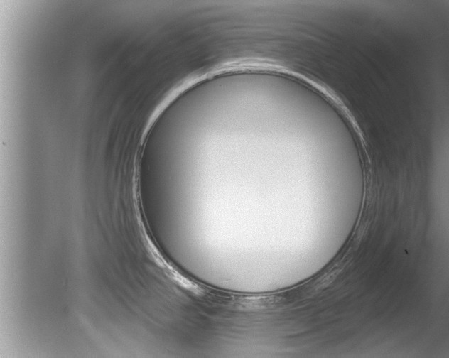 X0000080791390200612151046