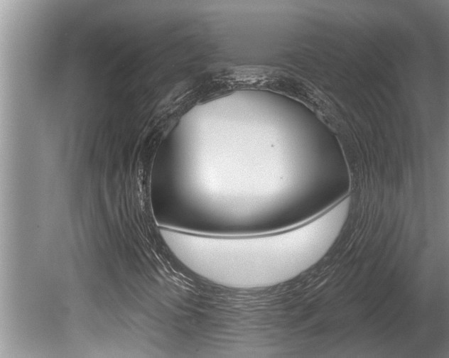 X0000080791394200612151045