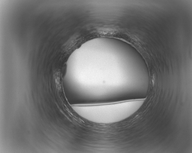 X0000080791396200612151045