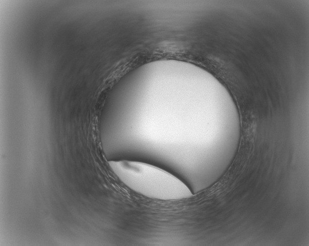 X0000080791397200612151046