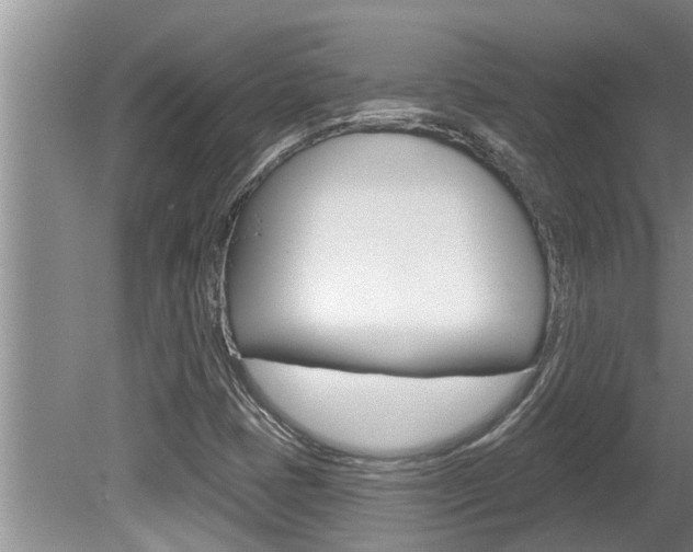 X0000080791401200612151046
