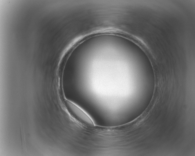 X0000080791414200612151046
