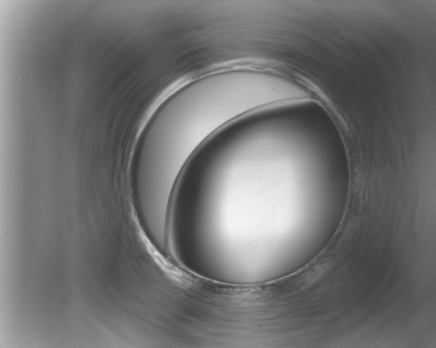 X0000080791426200612151046