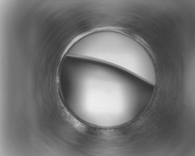 X0000080791428200612151046