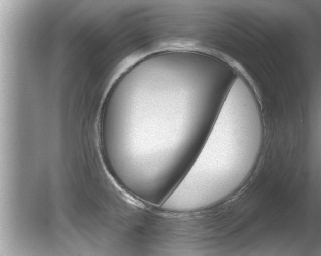 X0000080791432200612151046