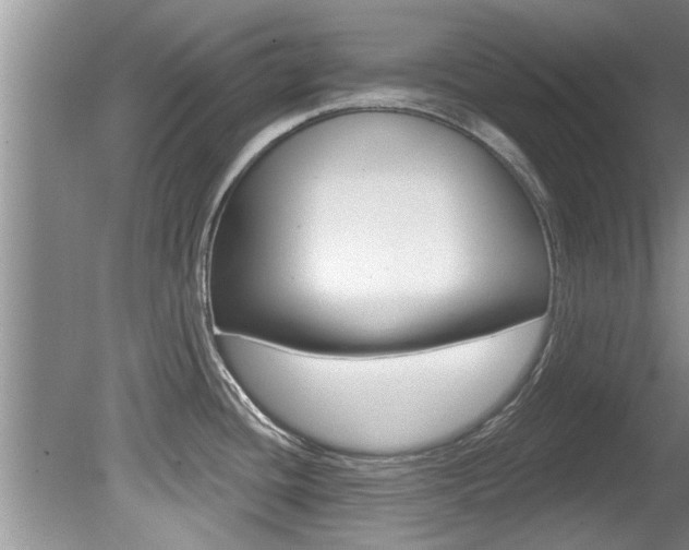 X0000080791436200612151046