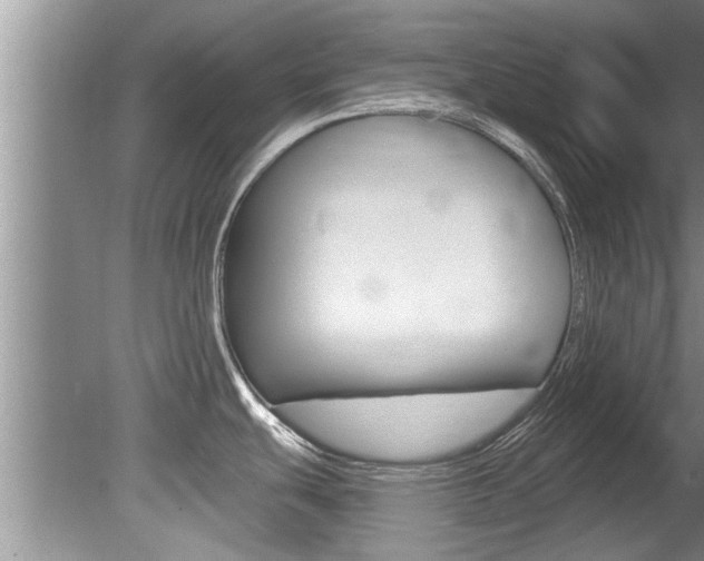 X0000080791439200612151046