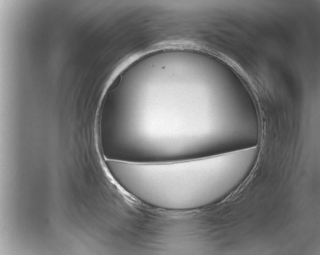 X0000080791440200612151046