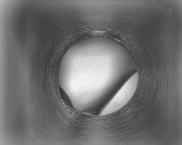 X0000080791441200612151045