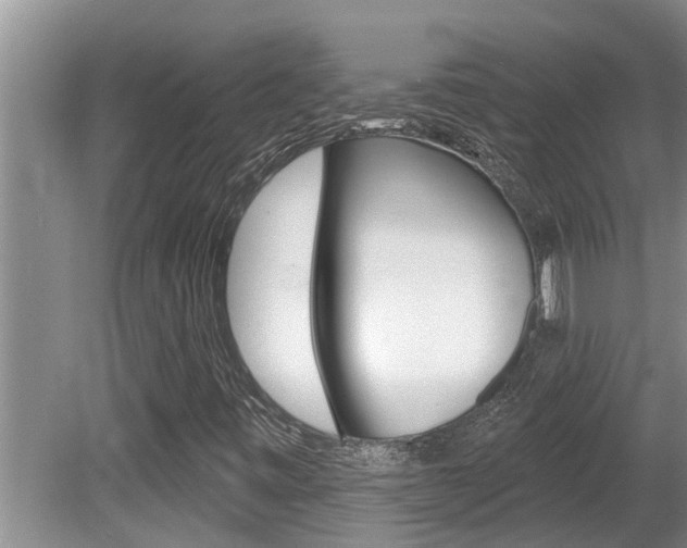X0000080791443200612151045
