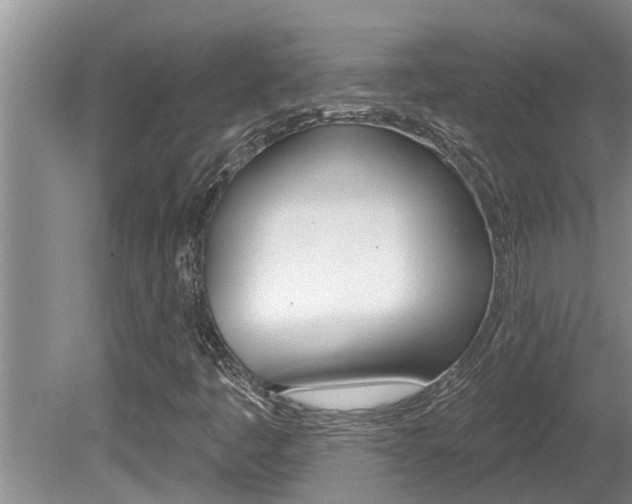 X0000080791445200612151045