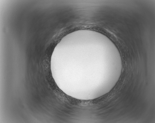 X0000080791447200612151045