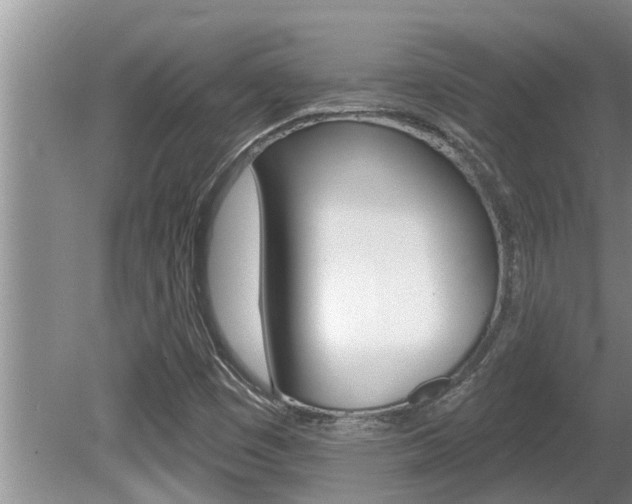 X0000080791449200612151045