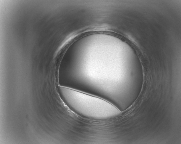 X0000080791456200612151045