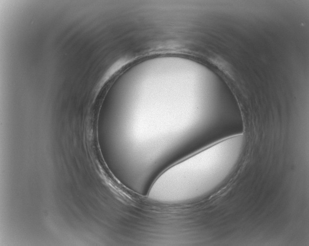 X0000080791458200612151045