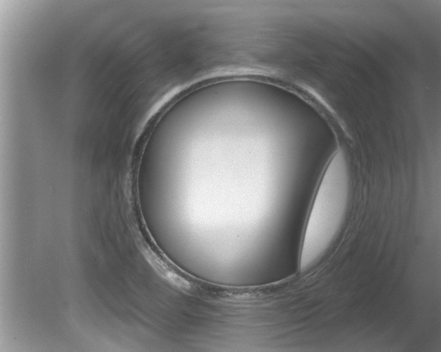 X0000080791460200612151045