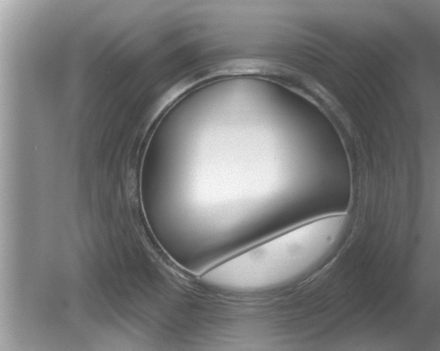 X0000080791465200612151045