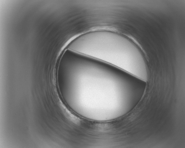 X0000080791468200612151045