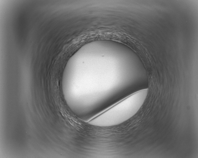 X0000080791489200612151044
