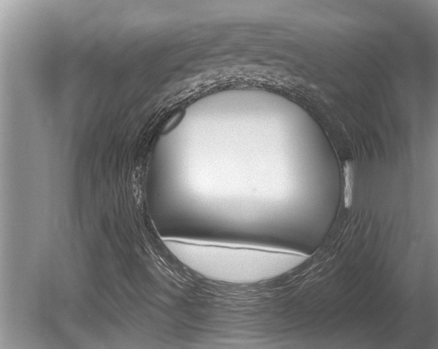 X0000080791491200612151044