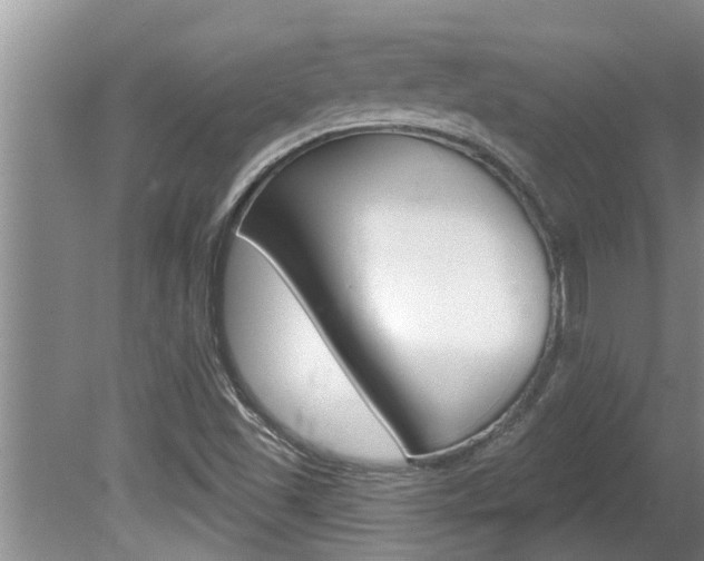 X0000080791501200612151044