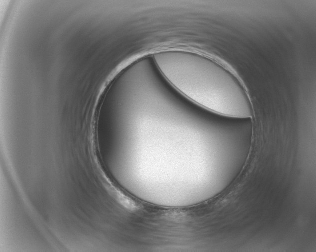 X0000080791525200612151044