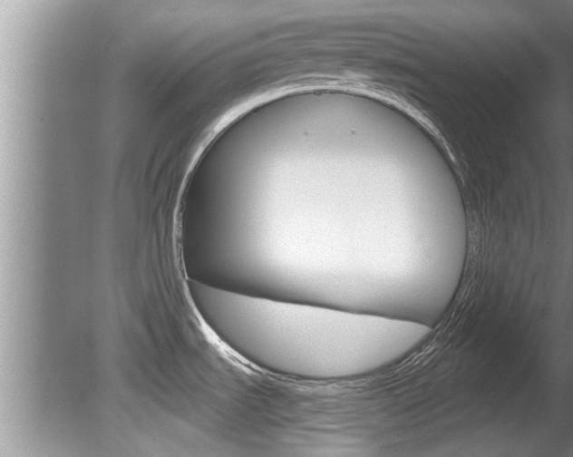 X0000080791535200612151045