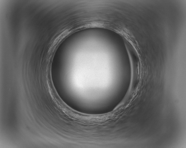 X0000080790001200612151507