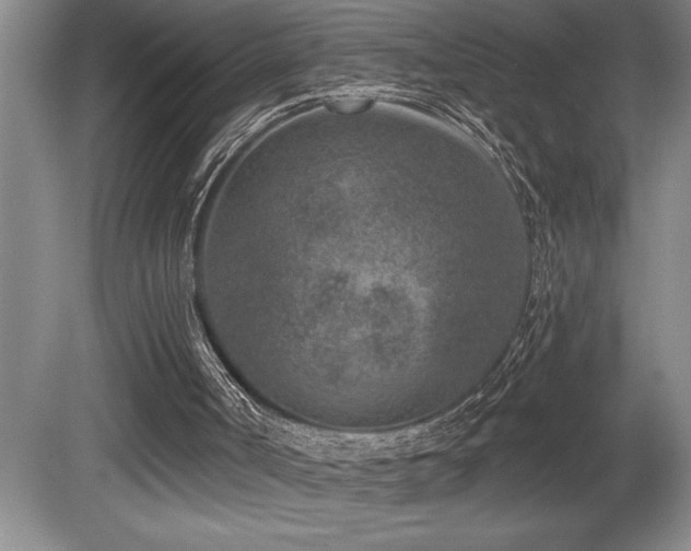 X0000080790002200612151507