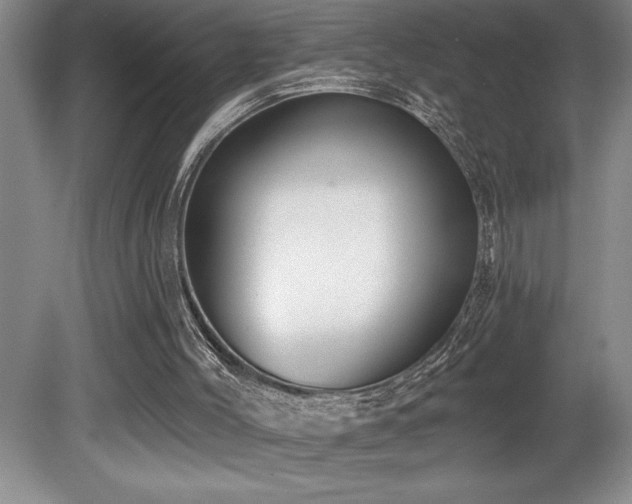 X0000080790004200612151507