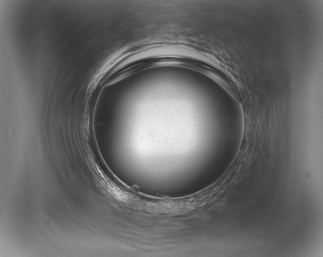 X0000080790005200612151507