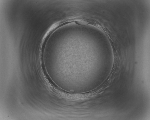 X0000080790006200612151507